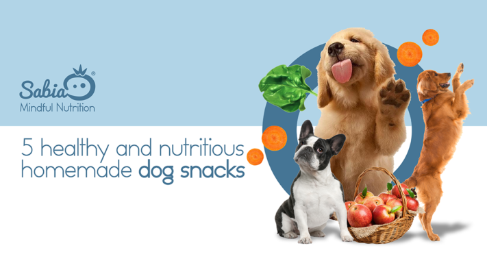 Healthy dog snacks